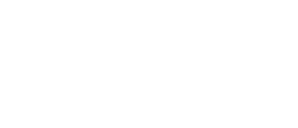 loongs international